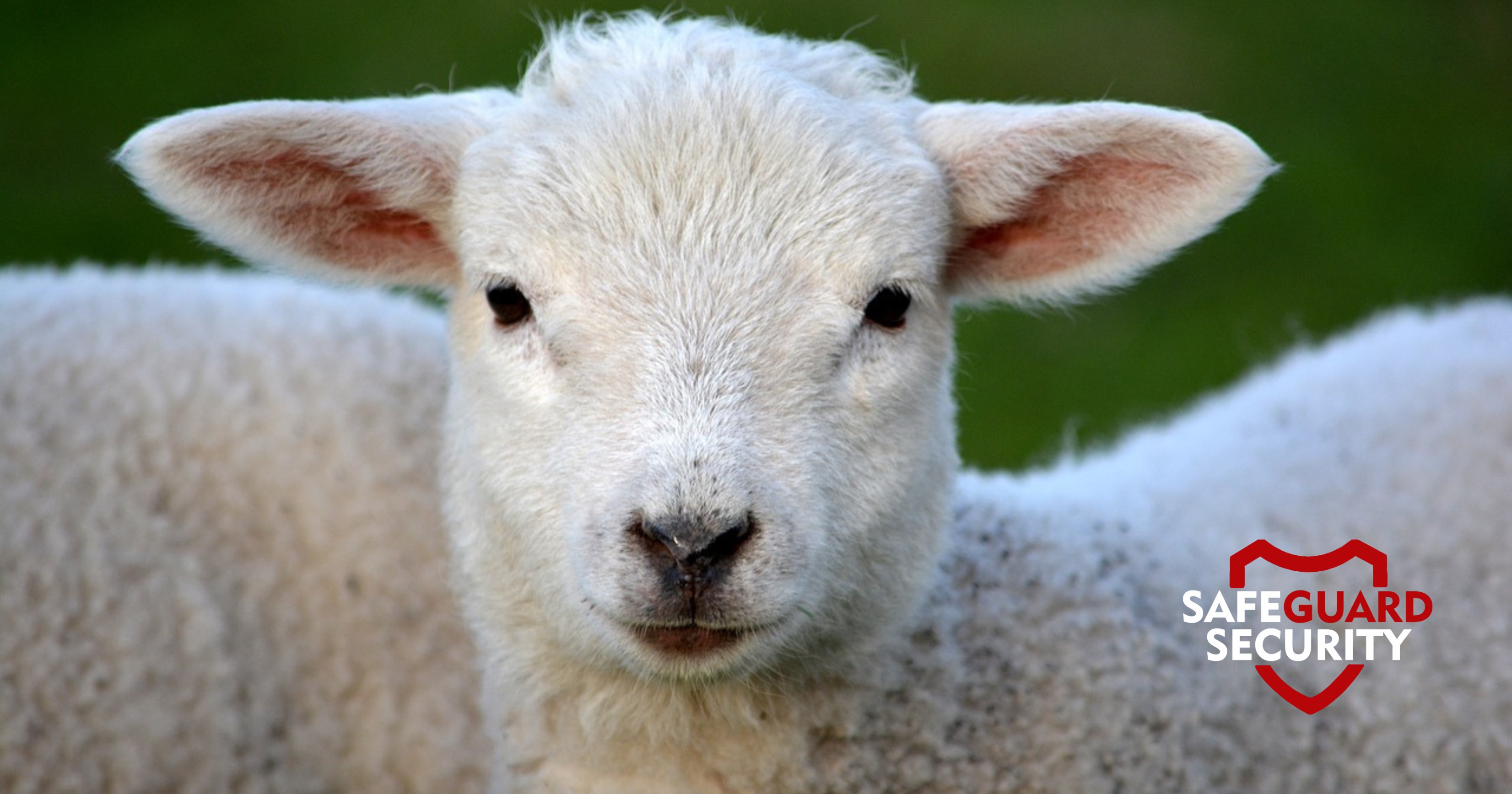 eight-farm-security-solutions-to-keep-your-farm-secure-safeguard-security