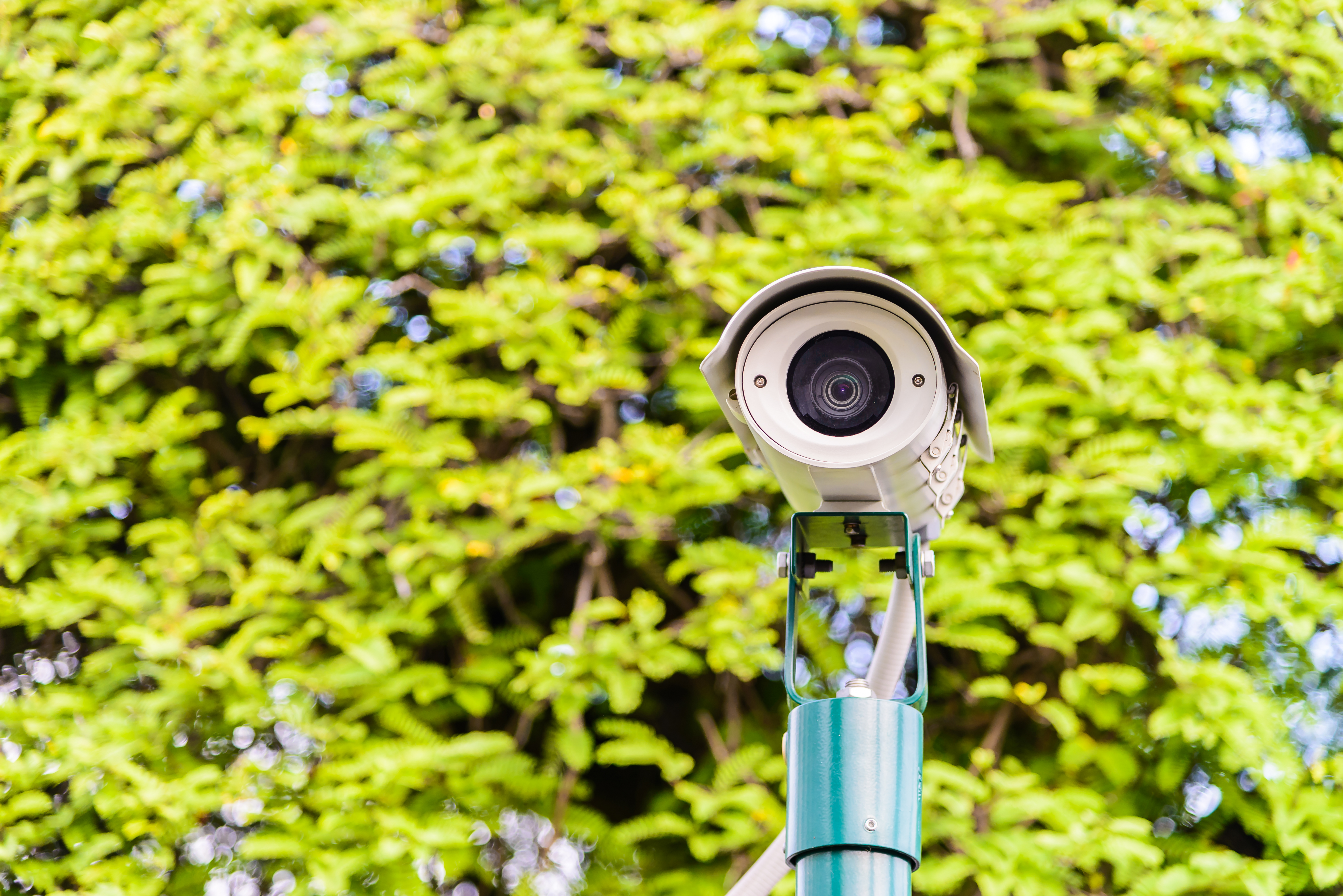 Safeguard Security | 7 Proven Yard Protection Strategies for Canadian Homes & Businesses