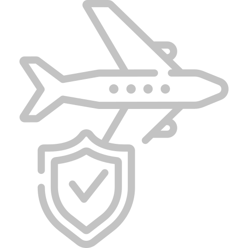 Aviation Security